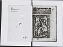 IMG_1790