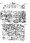 1557_lycosthenes_077.jpg (118390 bytes)