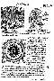 1557_lycosthenes_323.jpg (127390 bytes)