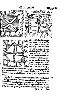 1557_lycosthenes_431.jpg (115163 bytes)