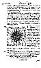 1557_lycosthenes_472.jpg (106638 bytes)