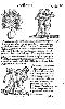 1557_lycosthenes_577.jpg (94672 bytes)