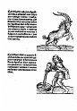 1489albumasar_045