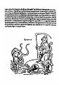 1489albumasar_049