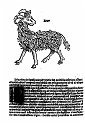 1489albumasar_075