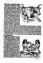 1489albumasar_116