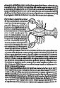 1489albumasar_117