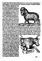 1489albumasar_130