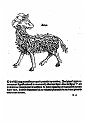 1489albumasar_150