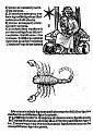 1489albumasar_185