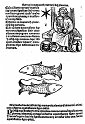1489albumasar_205